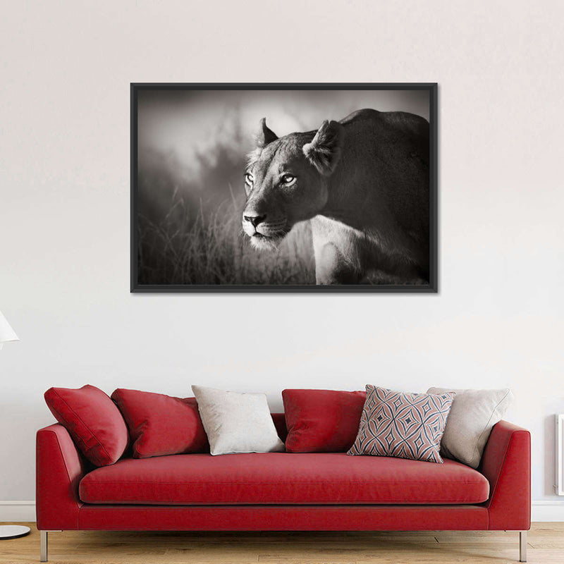 Stalking Lioness Wall Art
