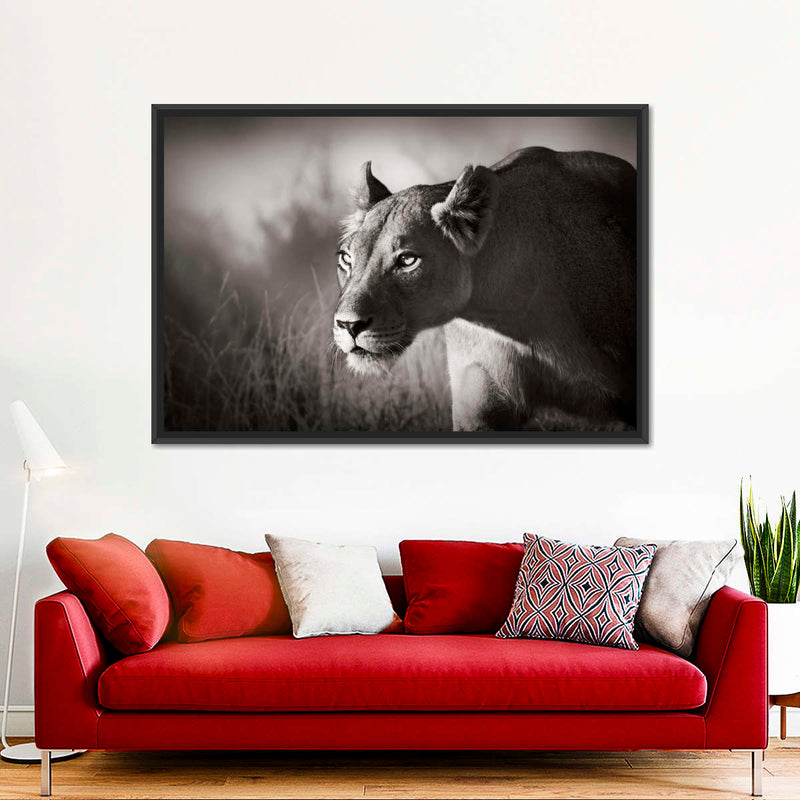 Stalking Lioness Wall Art
