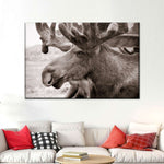 Moose Head Wall Art