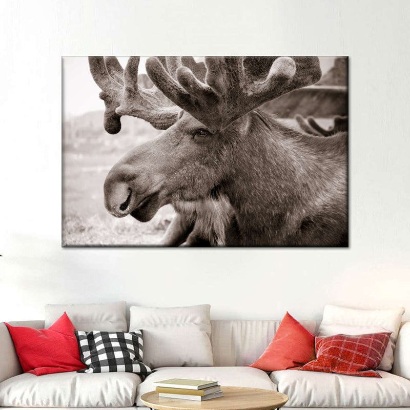 Moose Head Wall Art