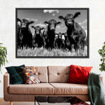 Monochrome Angus Cows Wall Art