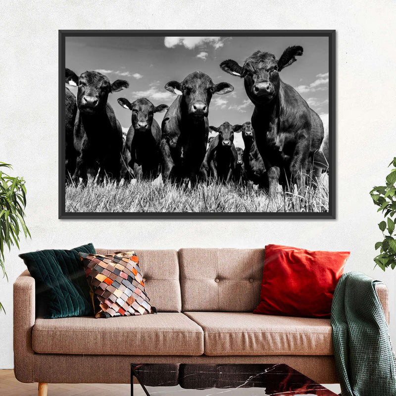 Monochrome Angus Cows Wall Art