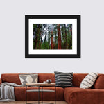 Vibrant Redwood Wall Art
