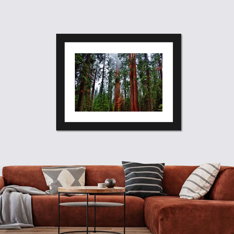 Vibrant Redwood Wall Art