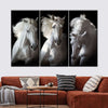 Three White Horses Wall Art