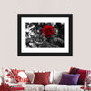 Lone Rose Pop Wall Art