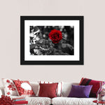 Lone Rose Pop Wall Art