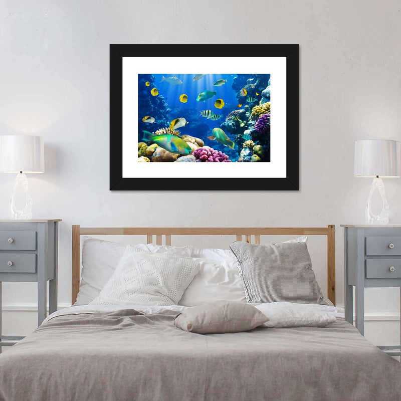 Underwater Sea Creatures Wall Art