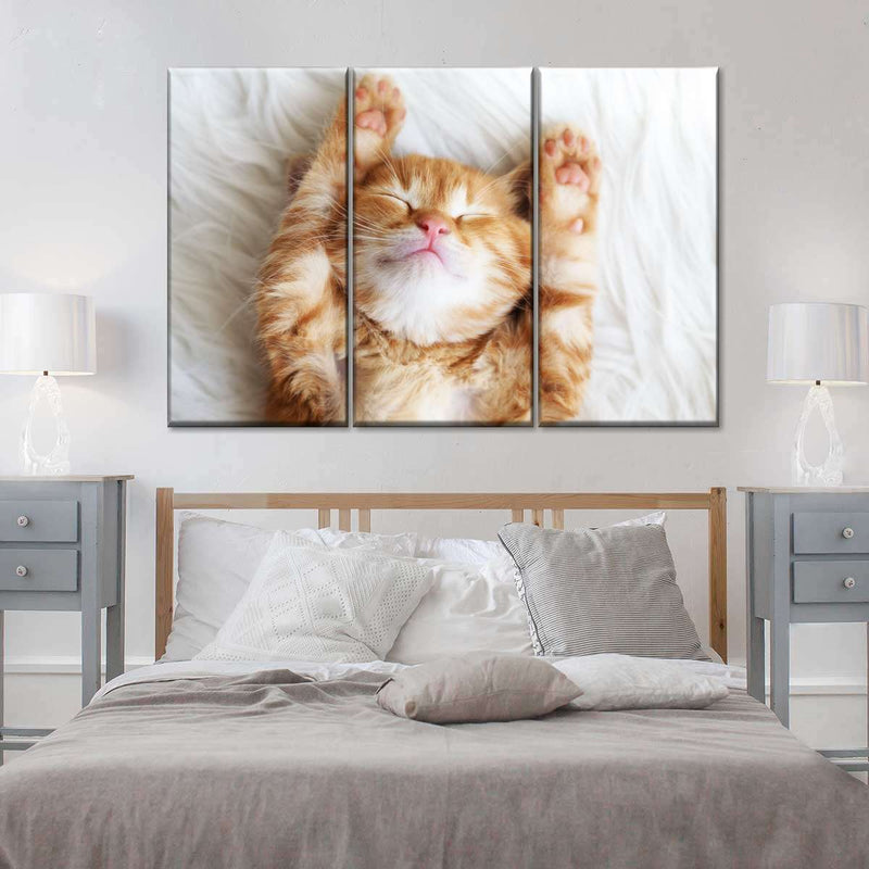 Sleepy Kitty Wall Art