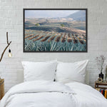 Tequila Jalisco Agave Field Wall Art