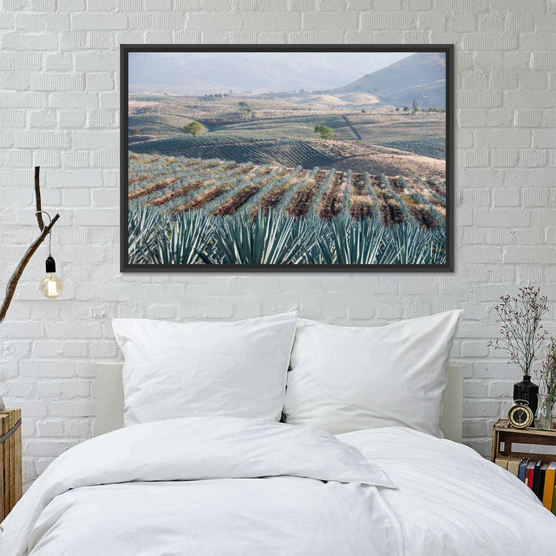 Tequila Jalisco Agave Field Wall Art