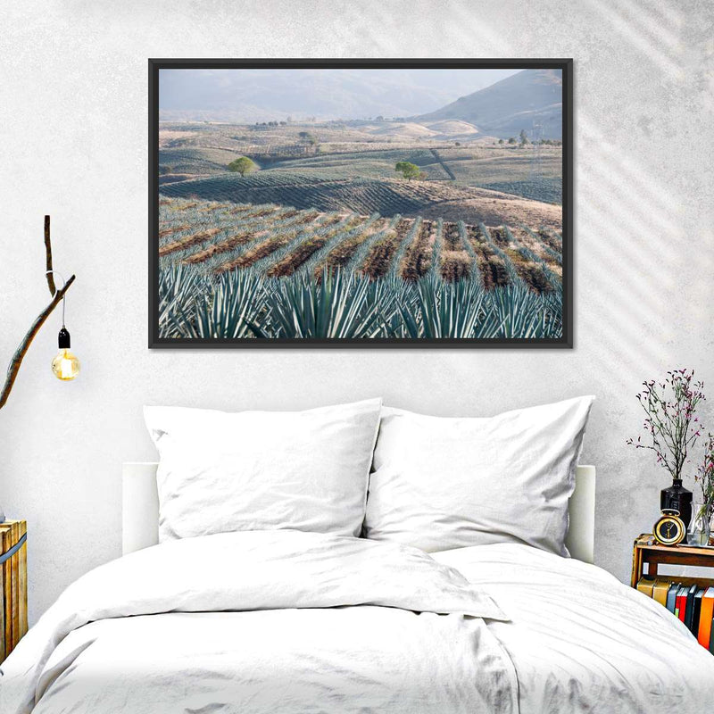 Tequila Jalisco Agave Field Wall Art