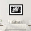 Monochromatic Rose Wall Art