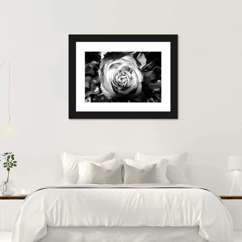 Monochromatic Rose Wall Art