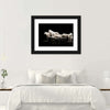 White Wolves Wall Art