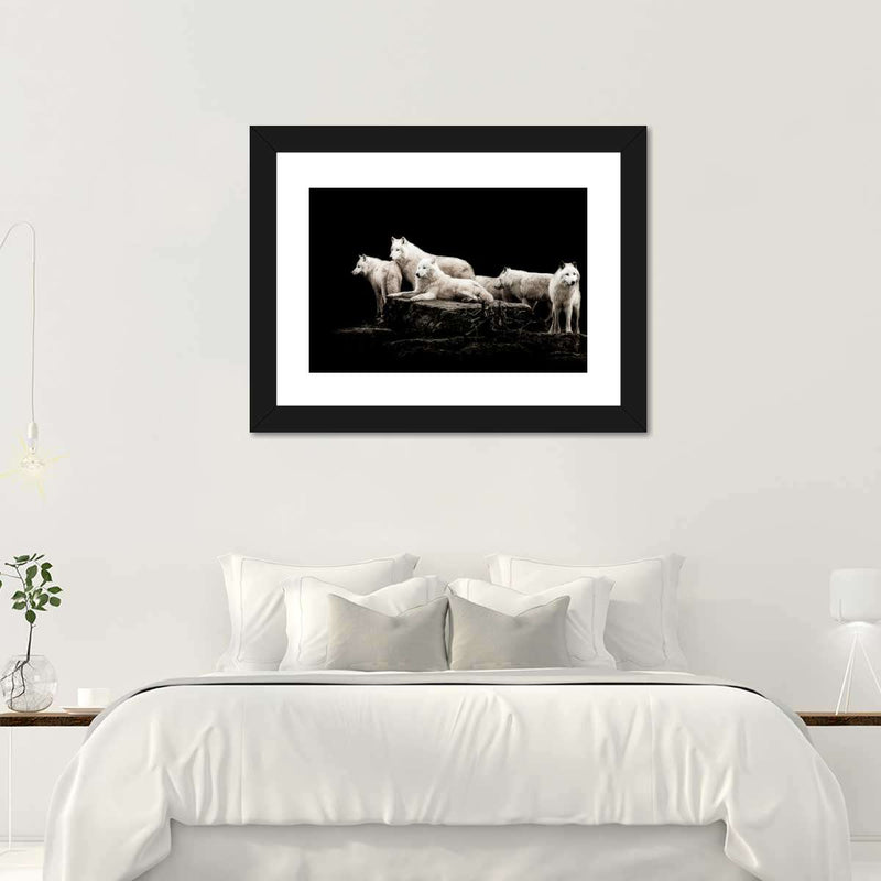 White Wolves Wall Art