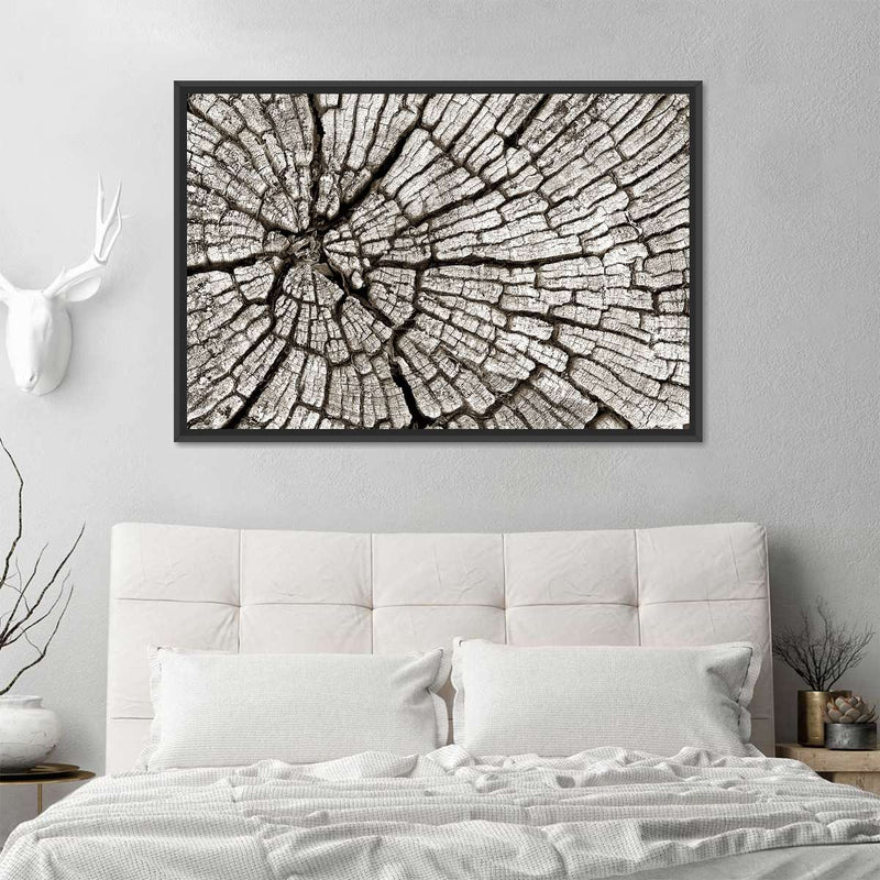 Tree Stump Wall Art