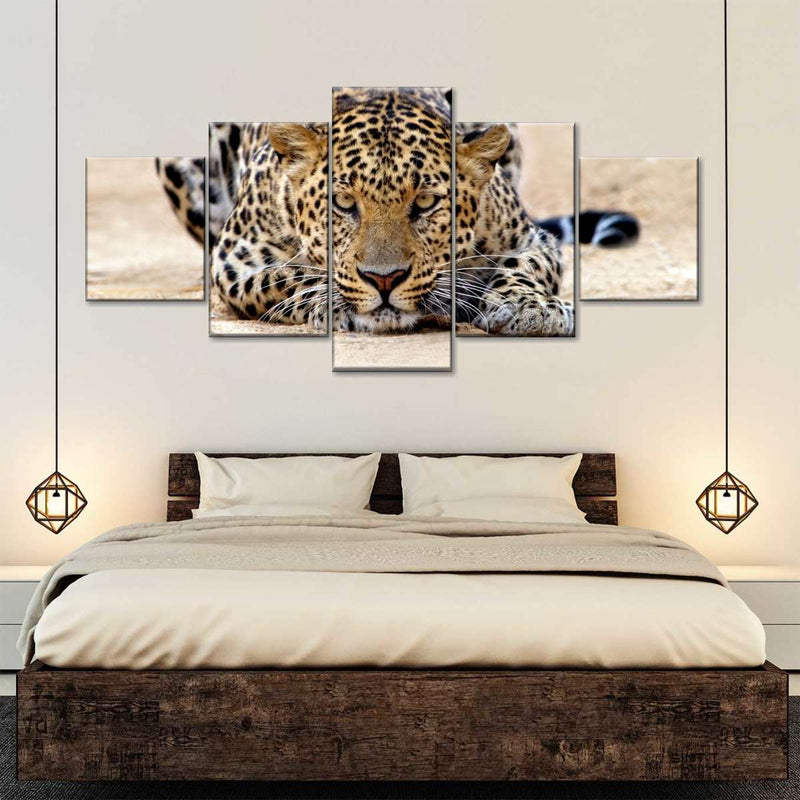 Watchful Jaguar Wall Art