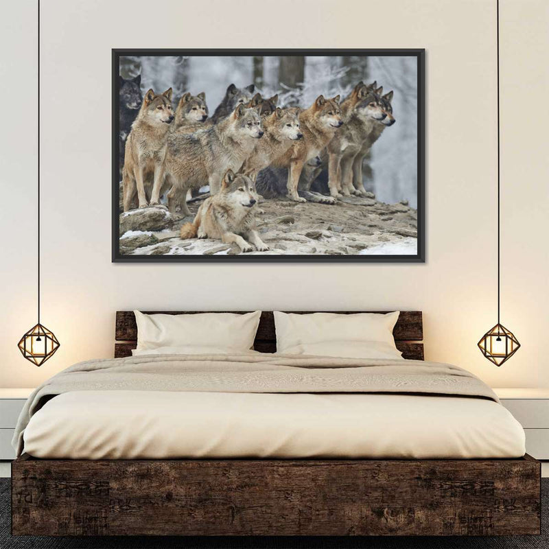 Wild Wolf Pack Wall Art