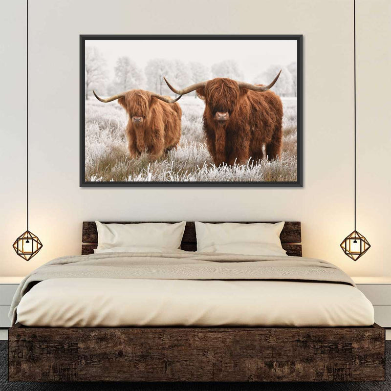 Hairy Scottish Highland Cows Wall Art