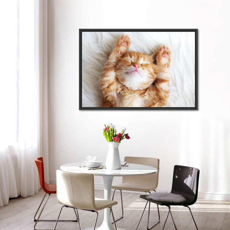 Sleepy Kitty Wall Art