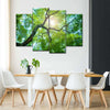 Tree Canopy Sunshine Wall Art