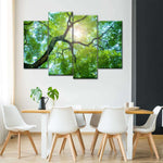 Tree Canopy Sunshine Wall Art