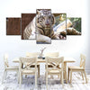 Resting White Tiger Wall Art
