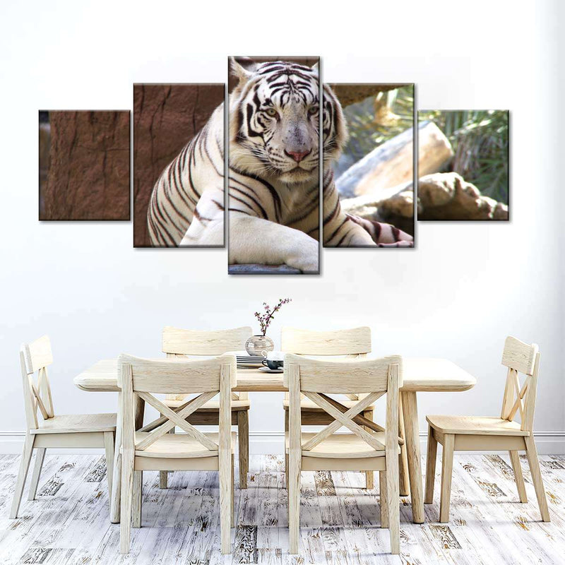 Resting White Tiger Wall Art