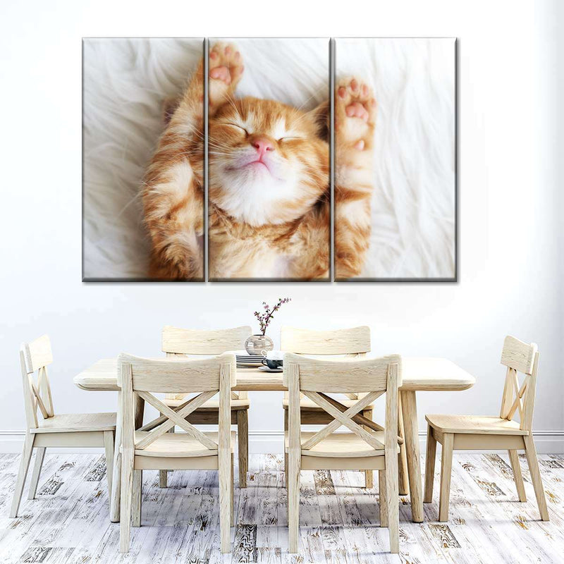 Sleepy Kitty Wall Art