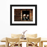 Pair Of Cows Wall Art