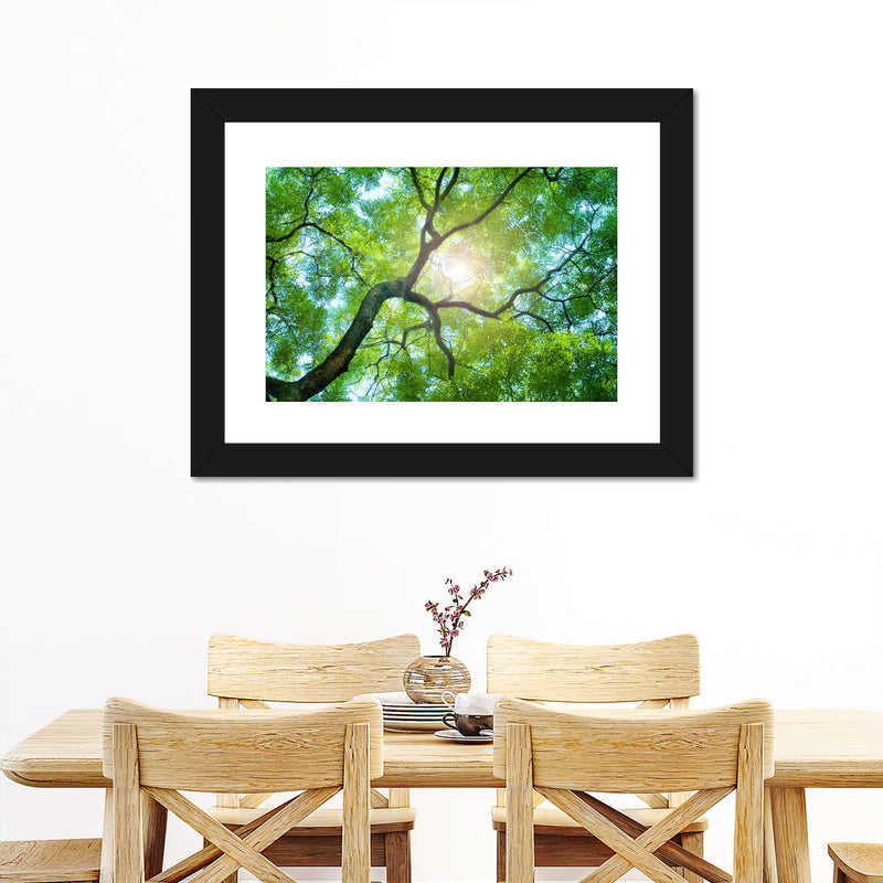 Tree Canopy Sunshine Wall Art