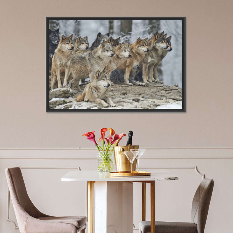 Wild Wolf Pack Wall Art