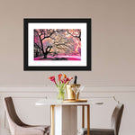 Pink Bloom Claw Trees Wall Art