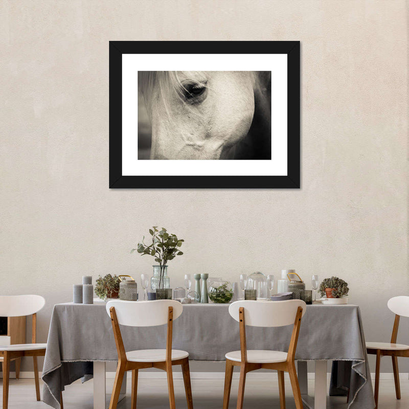 White Horse Eye Wall Art