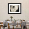 White Horse Eye Wall Art