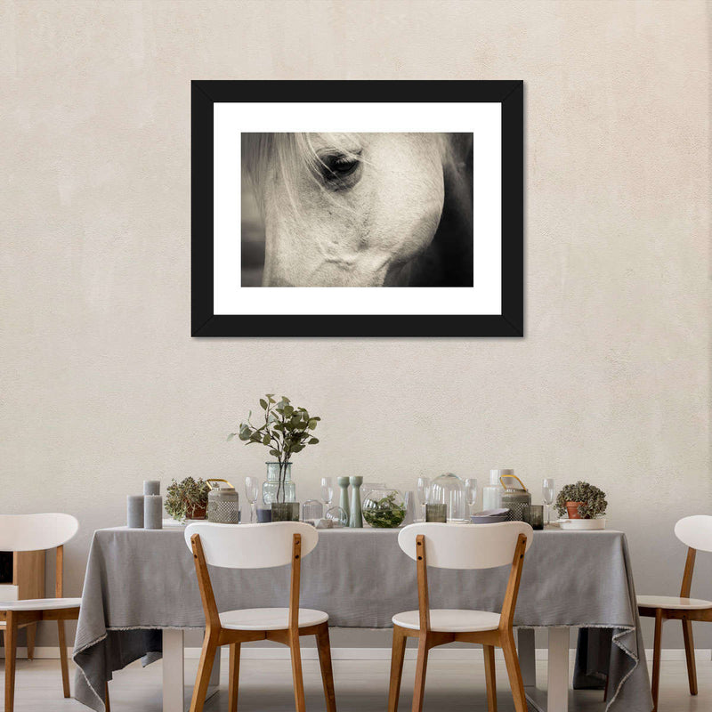 White Horse Eye Wall Art