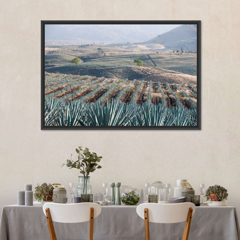 Tequila Jalisco Agave Field Wall Art
