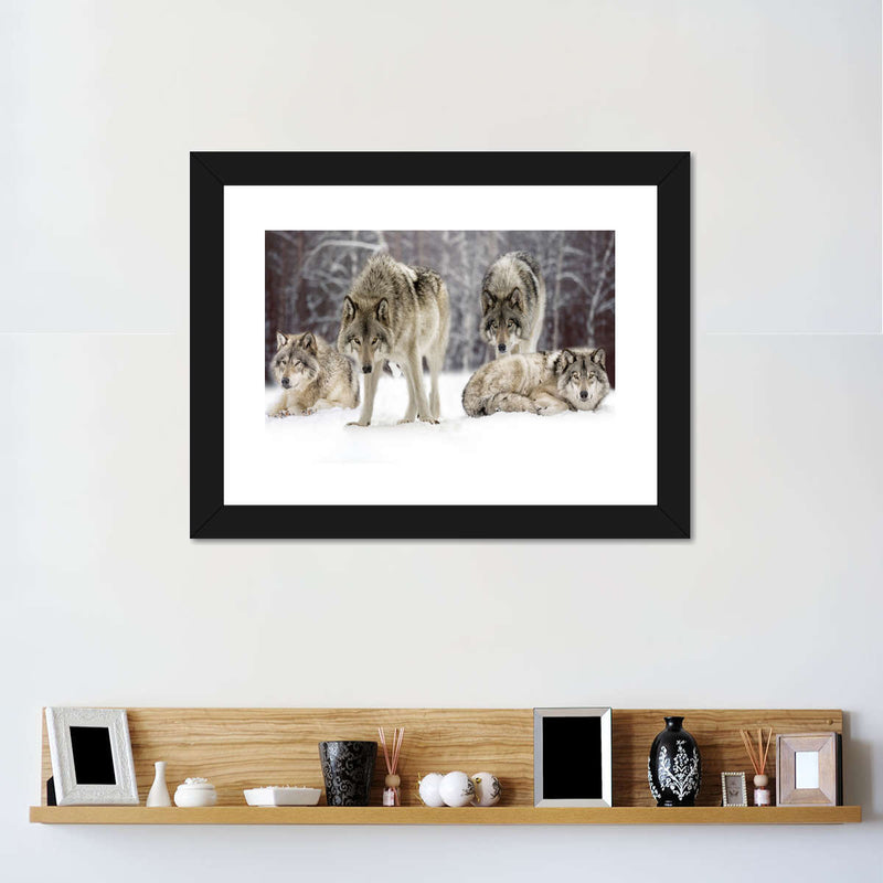 Wolf Pack Wall Art