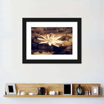 Sepia Lotus Flower Wall Art