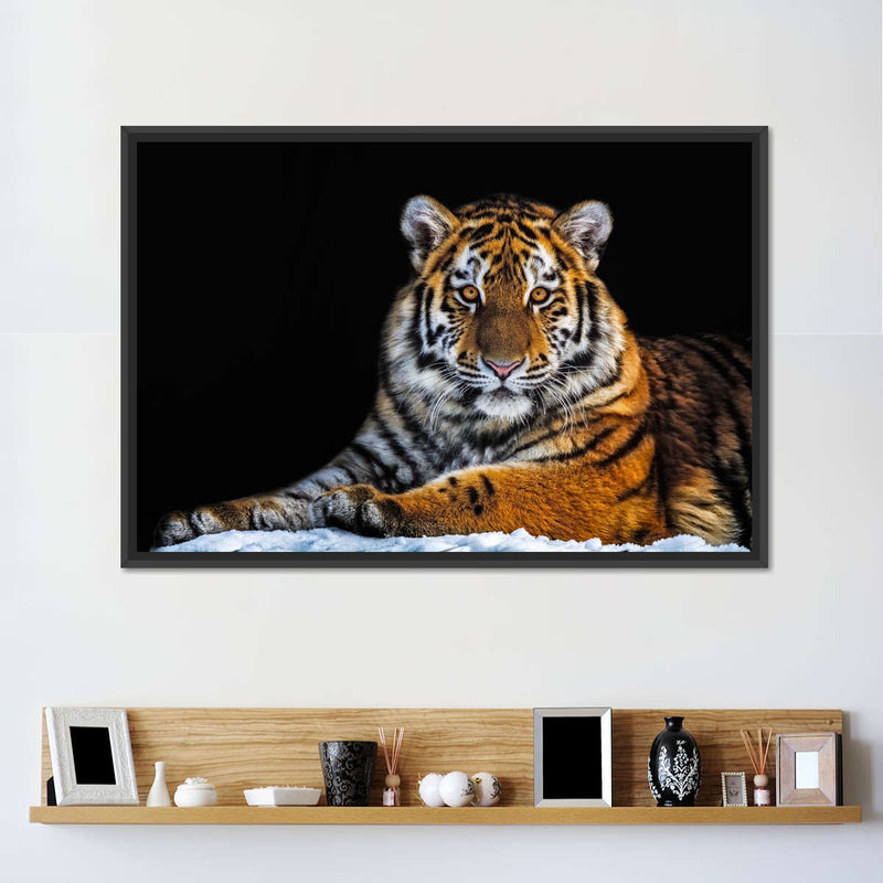 Tiger Snapshot Wall Art