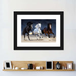 Wild Colorful Horses Wall Art