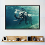 Swimming Elephant Wall Art