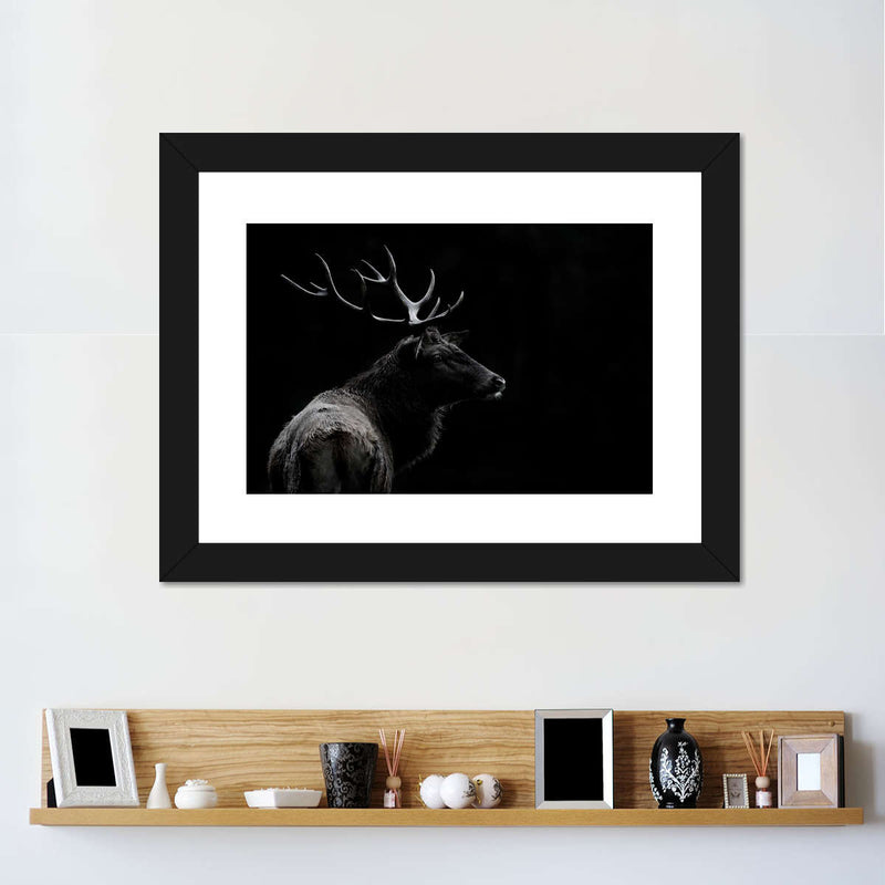 Monochrome Bull Elk Wall Art