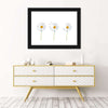 Plucked Daisies Wall Art