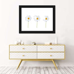 Plucked Daisies Wall Art