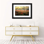 Scandinavian Poppy Field Wall Art