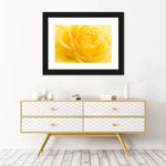 Yellow Rose Petals Wall Art
