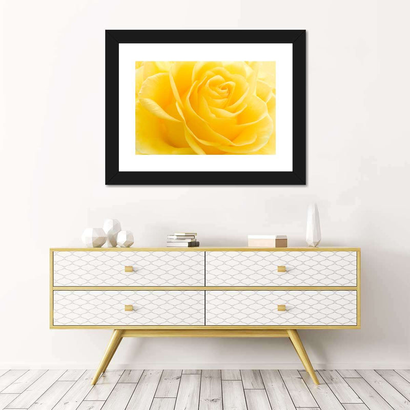 Yellow Rose Petals Wall Art