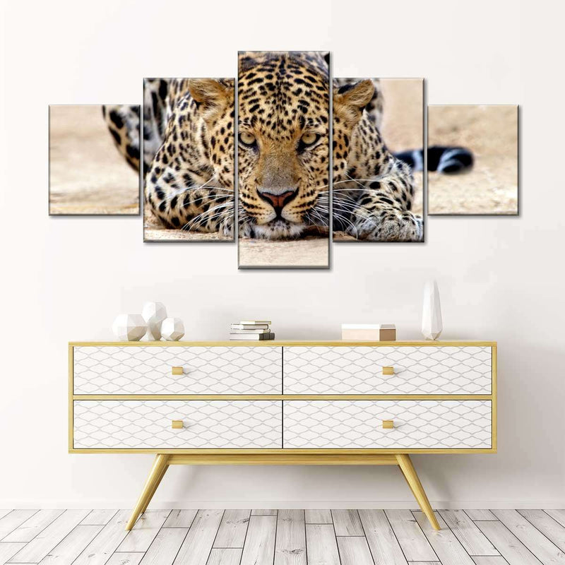 Watchful Jaguar Wall Art